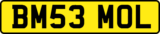 BM53MOL