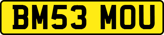 BM53MOU
