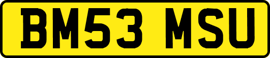BM53MSU