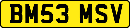 BM53MSV