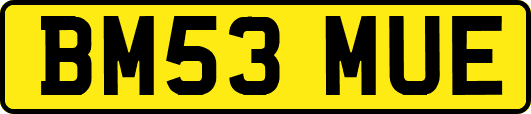 BM53MUE