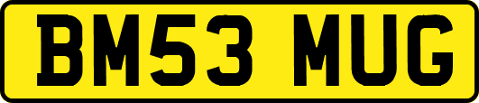 BM53MUG
