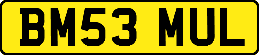 BM53MUL