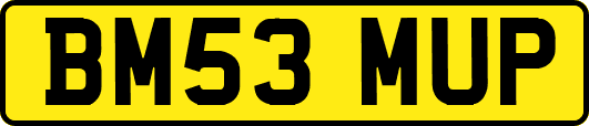 BM53MUP