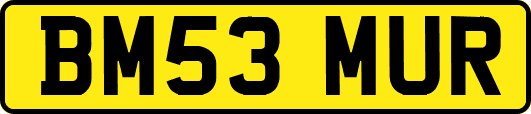 BM53MUR