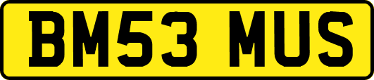 BM53MUS