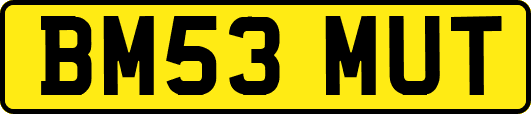 BM53MUT