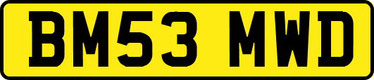 BM53MWD