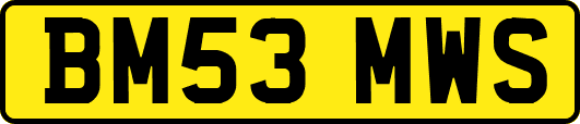 BM53MWS