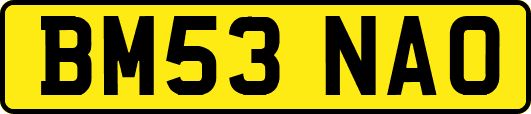 BM53NAO