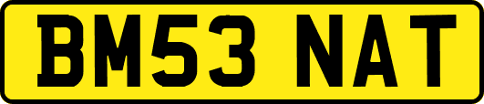BM53NAT