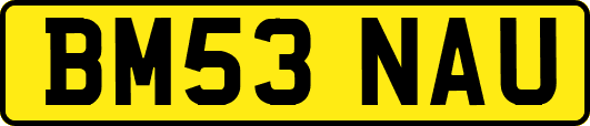 BM53NAU