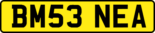 BM53NEA