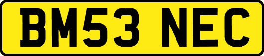 BM53NEC