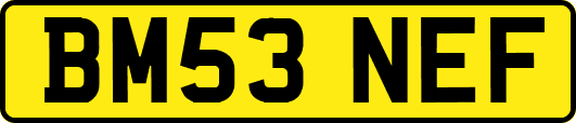 BM53NEF