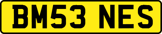 BM53NES