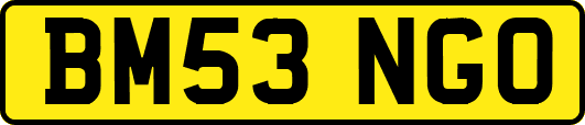 BM53NGO