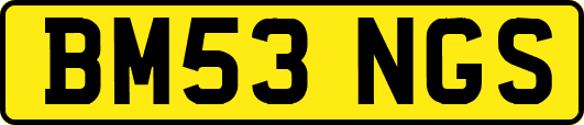 BM53NGS