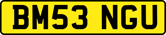 BM53NGU