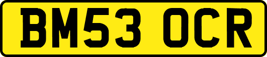 BM53OCR