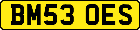 BM53OES
