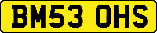 BM53OHS