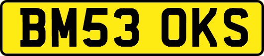 BM53OKS