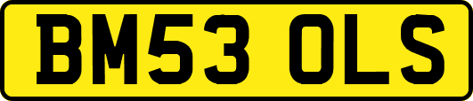 BM53OLS