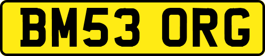BM53ORG
