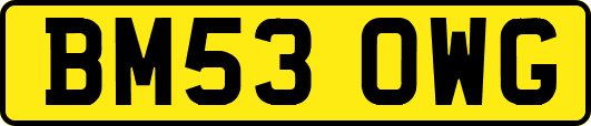 BM53OWG