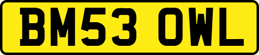 BM53OWL