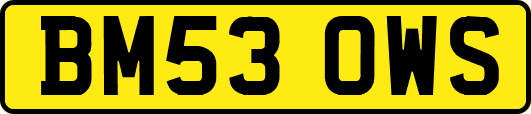 BM53OWS