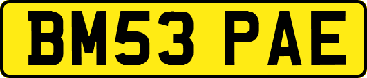 BM53PAE