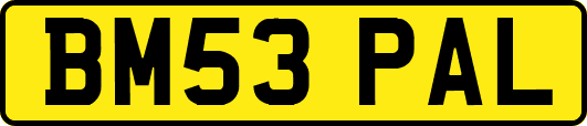 BM53PAL