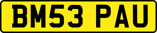 BM53PAU