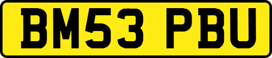 BM53PBU