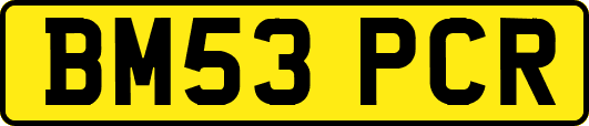 BM53PCR