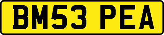 BM53PEA