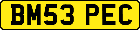 BM53PEC
