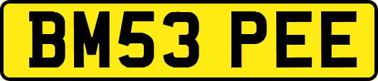 BM53PEE