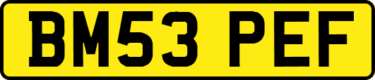 BM53PEF