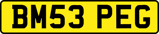 BM53PEG