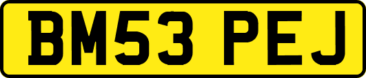 BM53PEJ