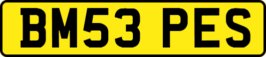 BM53PES