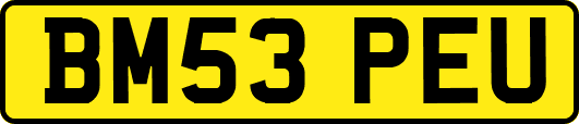 BM53PEU