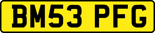 BM53PFG
