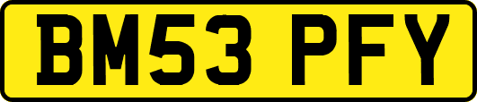 BM53PFY