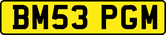 BM53PGM