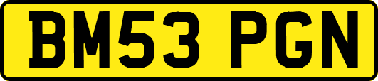 BM53PGN