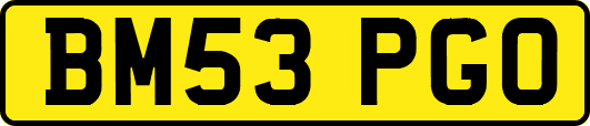 BM53PGO